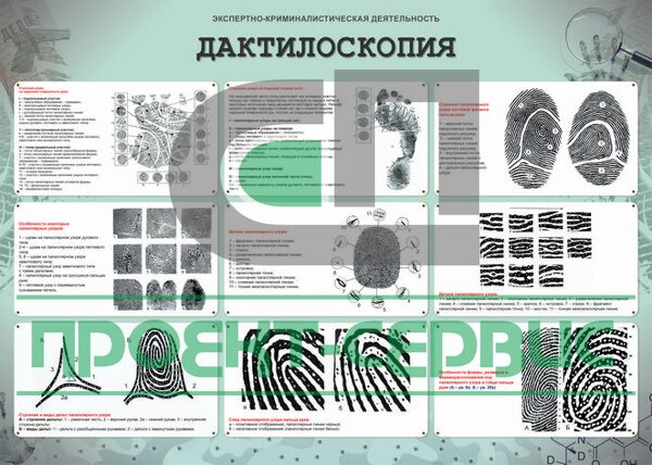 Что нужно для дактилоскопии. Что нужно для дактилоскопии