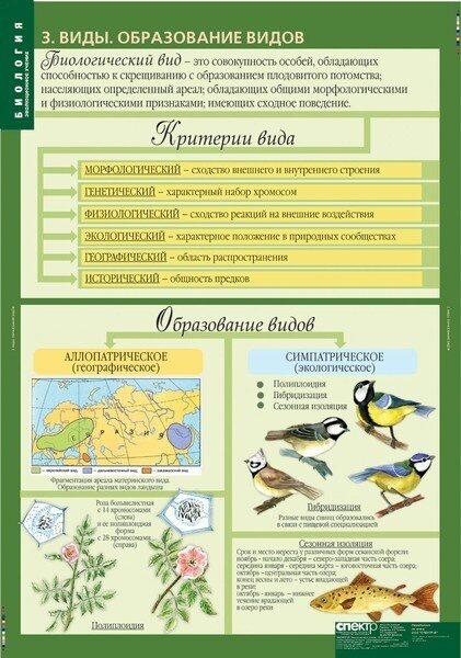 Биология в таблицах и схемах и рисунках заяц